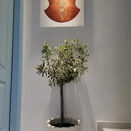 Aiantas * Ermúpoli