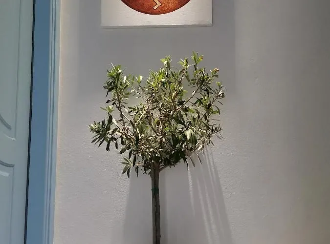 Aiantas * Ερμούπολη