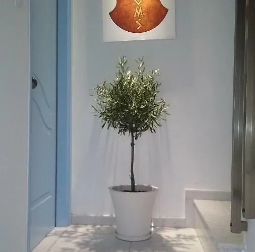 Aiantas * Ερμούπολη